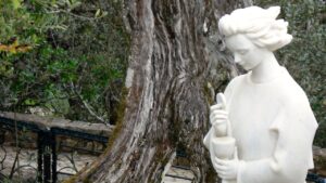 Fátima, una historia que cambió el rumbo del mundo 3 Fátima, una historia que cambió el rumbo del mundo 2