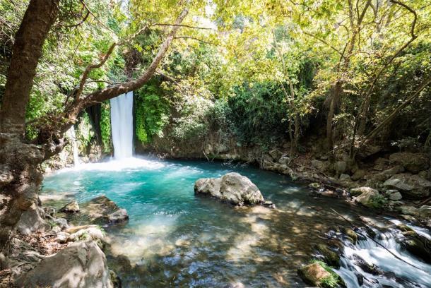 La Autoridad de Parques y Naturaleza, que administra la Reserva Natural de Banias, espera que el descubrimiento atraiga a más turistas a la zona, que también es conocida por su hermosa cascada. LevT / Adobe Stock)