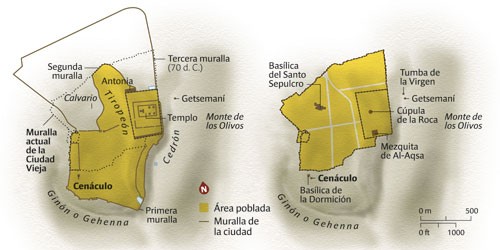 cenaculo