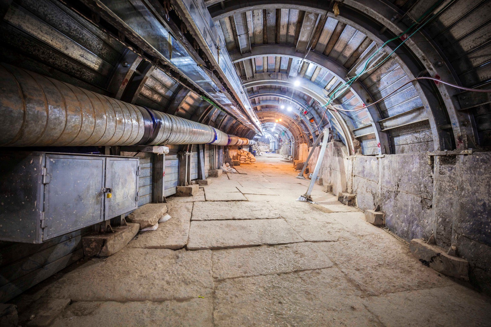 Camino del Peregrino